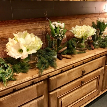 Décoration de Chalet