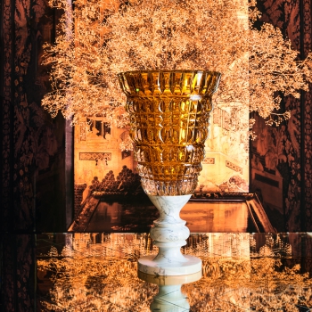 Baccarat Courchevel