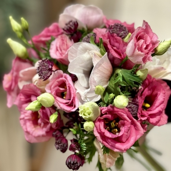 Anemones