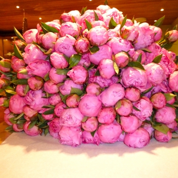 Peony Bouquet