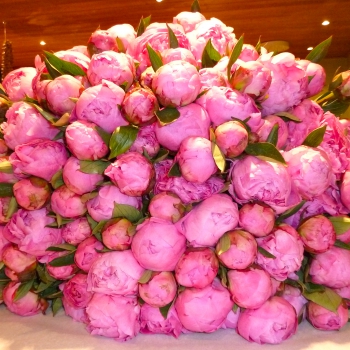 Peony Bouquet